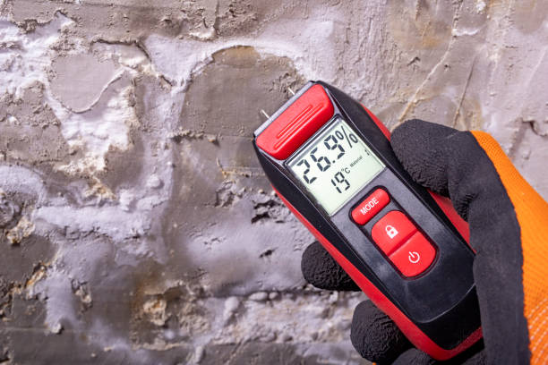 Best Home Mold Removal  in Camp Hill, AL